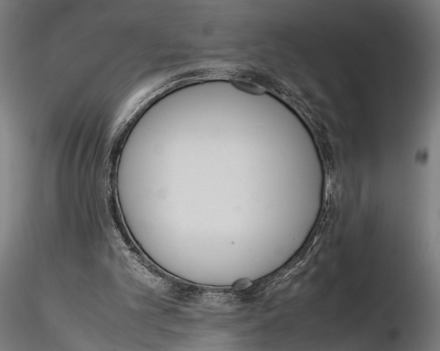 X0000115600101200912081123