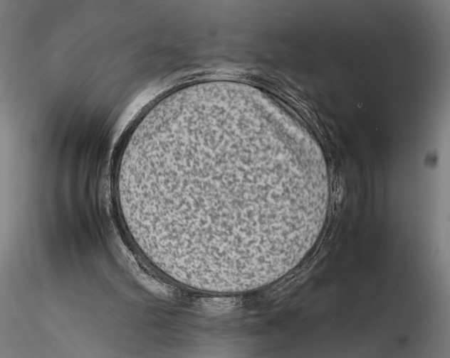 X0000115600102200912081123