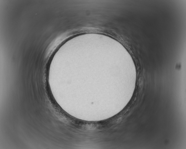 X0000115600103200912081123