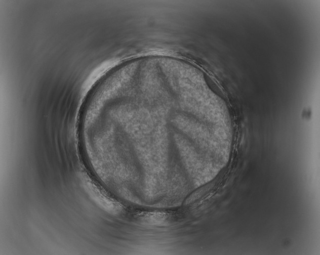 X0000115600104200912081123