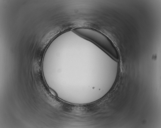 X0000115600105200912081123