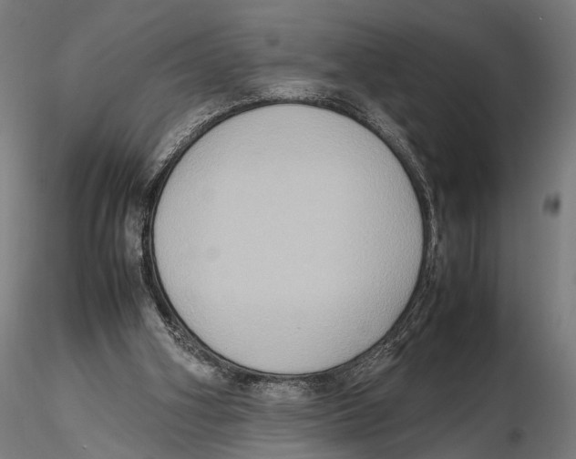 X0000115600106200912081123