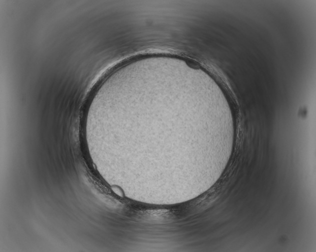 X0000115600108200912081123