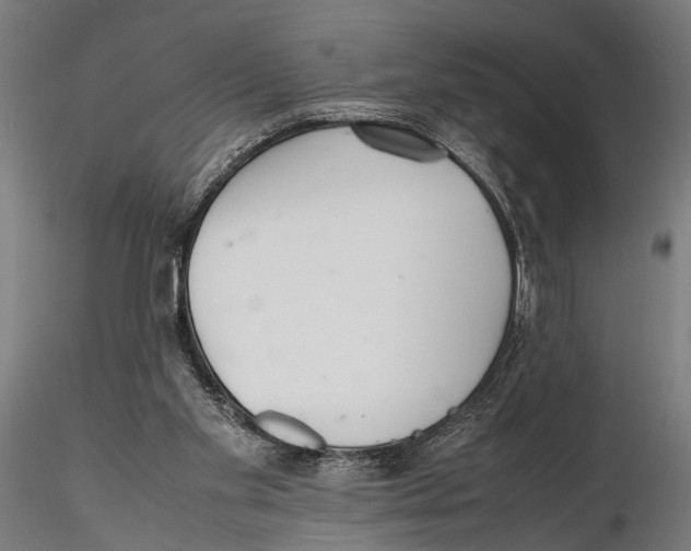 X0000115600109200912081123