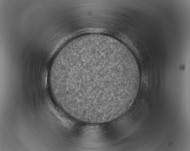 X0000115600110200912081123