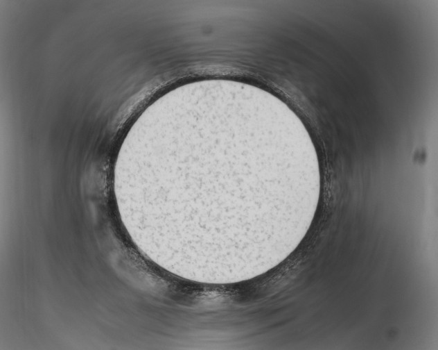 X0000115600111200912081123