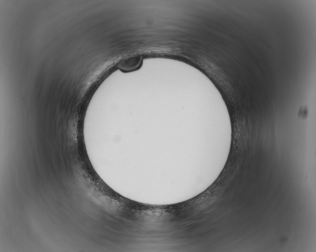 X0000115600112200912081123