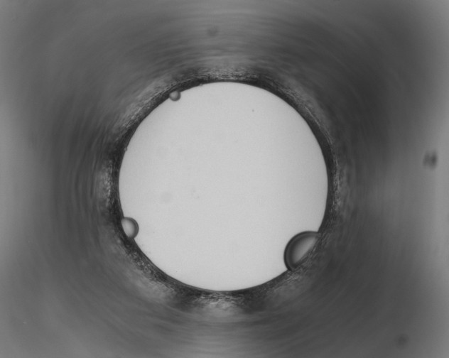 X0000115600113200912081123