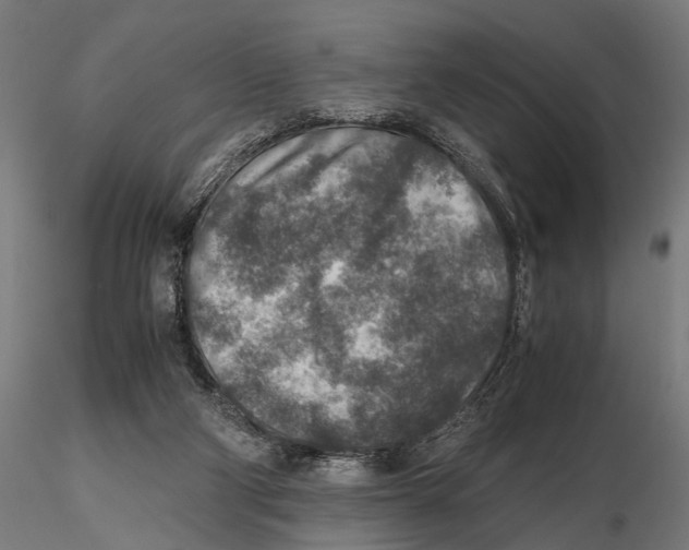 X0000115600114200912081123