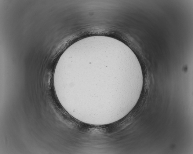 X0000115600115200912081122