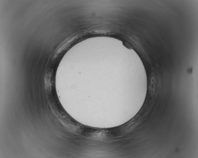 X0000115600116200912081122