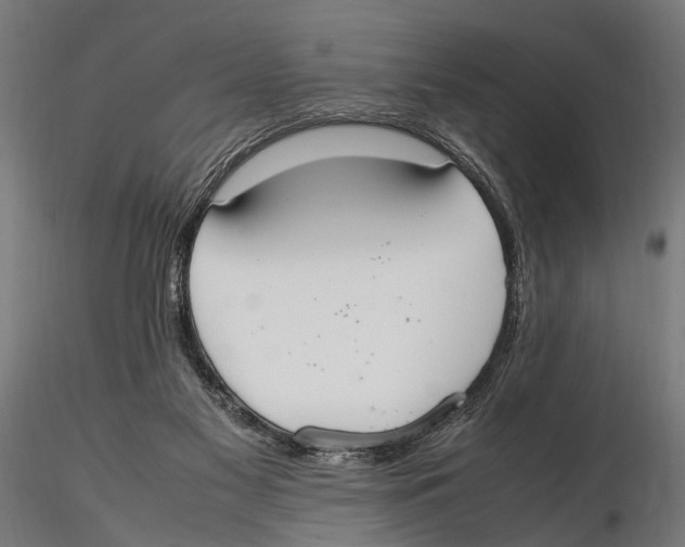 X0000115600117200912081122