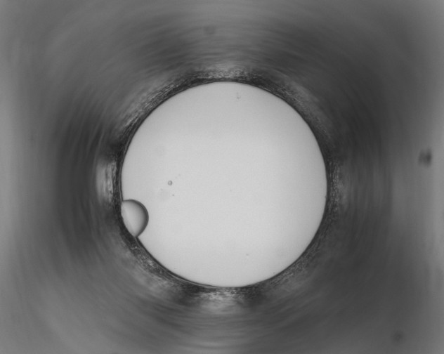 X0000115600118200912081122