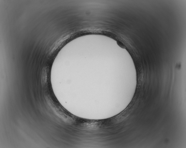 X0000115600120200912081122