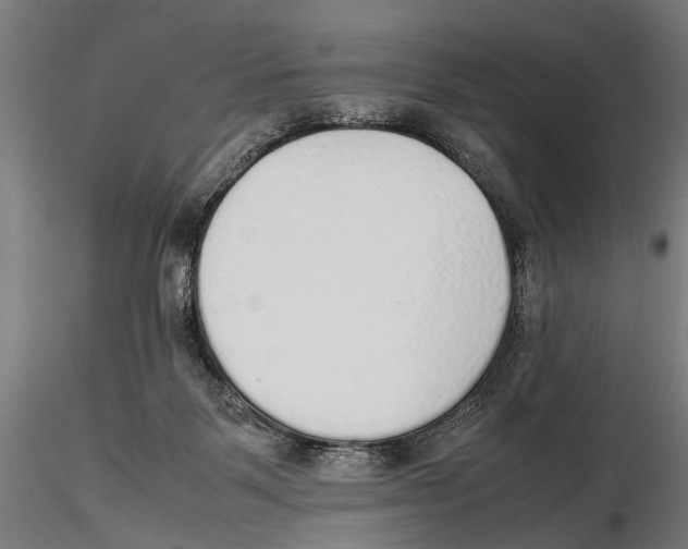 X0000115600123200912081122