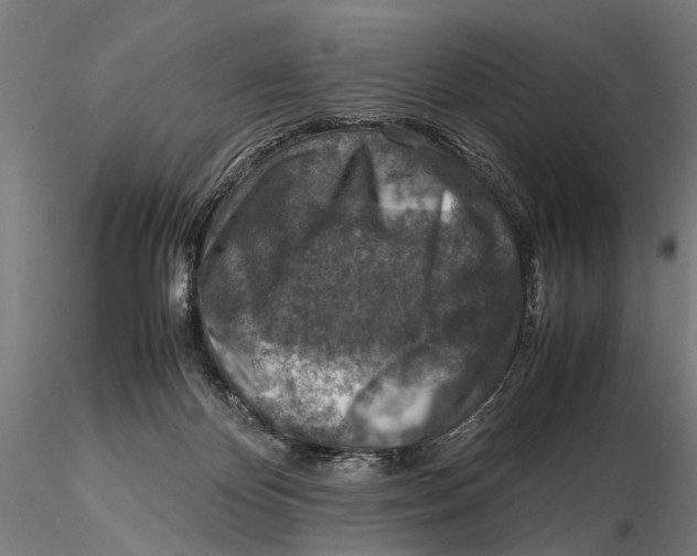 X0000115600124200912081122