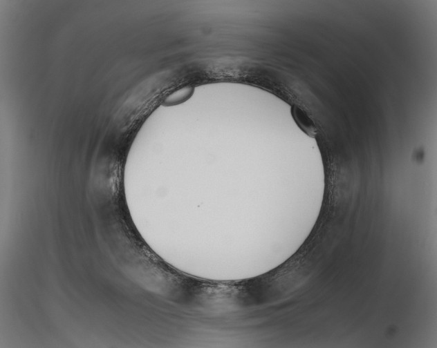 X0000115600125200912081122