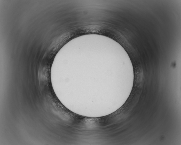 X0000115600126200912081122