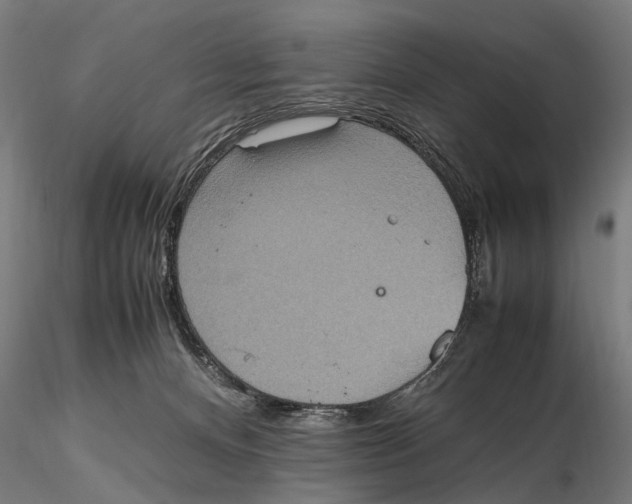 X0000115600128200912081122