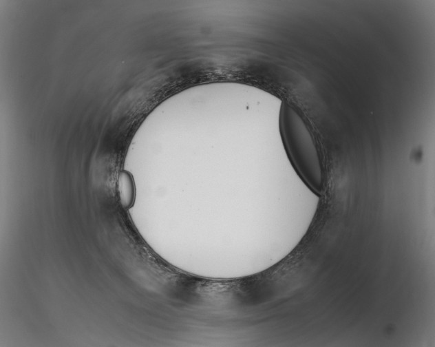 X0000115600129200912081122