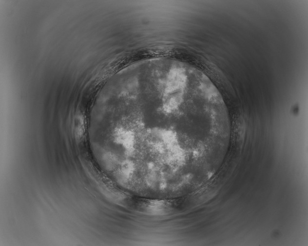 X0000115600130200912081122