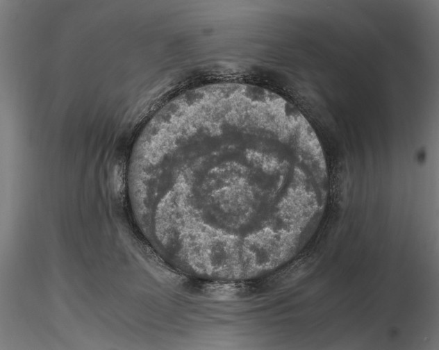 X0000115600131200912081122