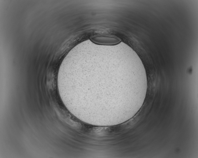 X0000115600136200912081122