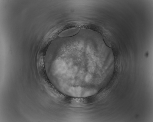 X0000115600137200912081122