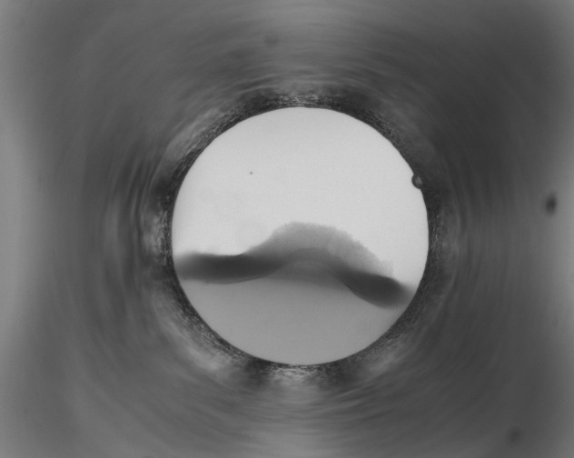 X0000115600139200912081122