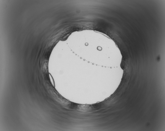 X0000115600141200912081122