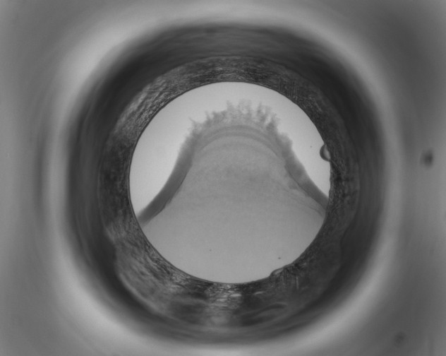 X0000115600143200912081122