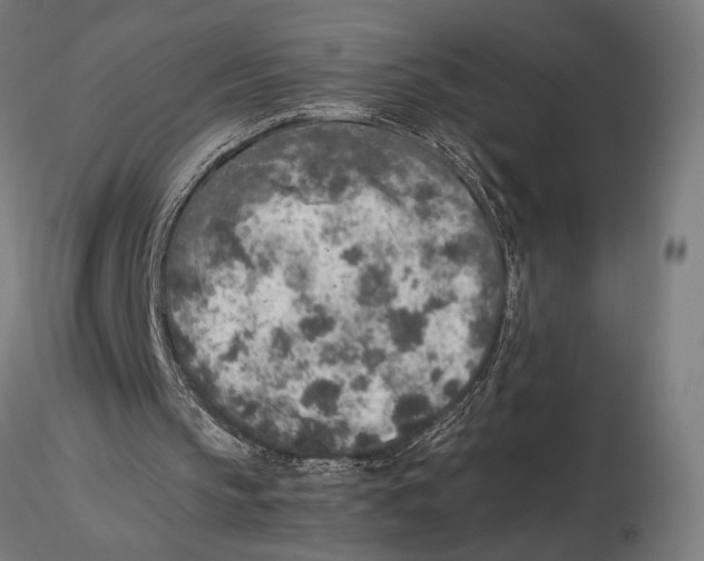 X0000115600145200912081121