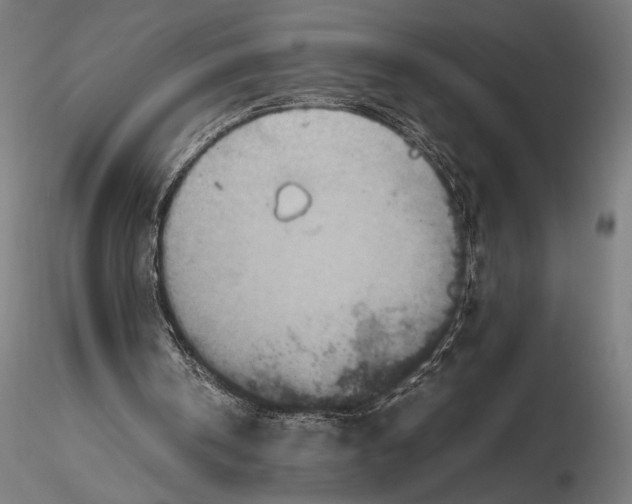 X0000115600146200912081121