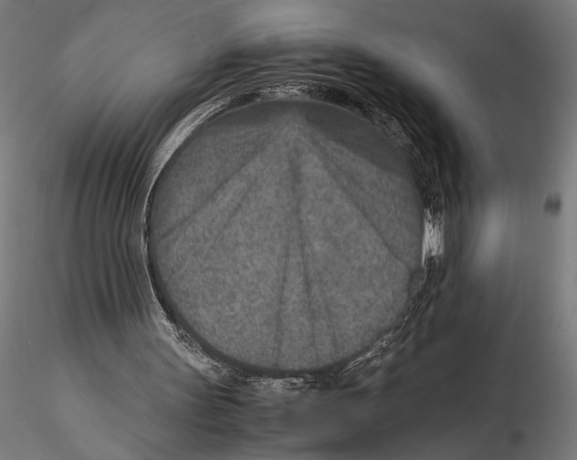 X0000115600147200912081121