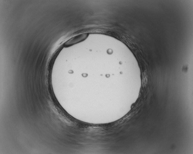 X0000115600150200912081121