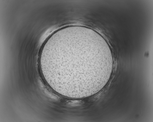 X0000115600151200912081121