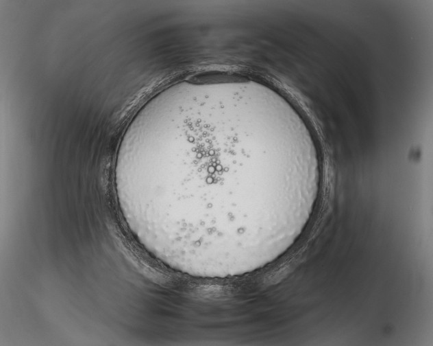 X0000115600153200912081121