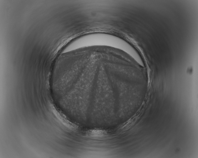 X0000115600154200912081121