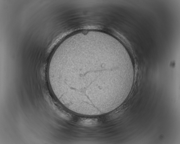 X0000115600155200912081121