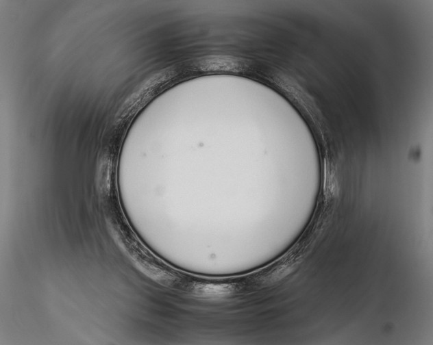 X0000115600157200912081121