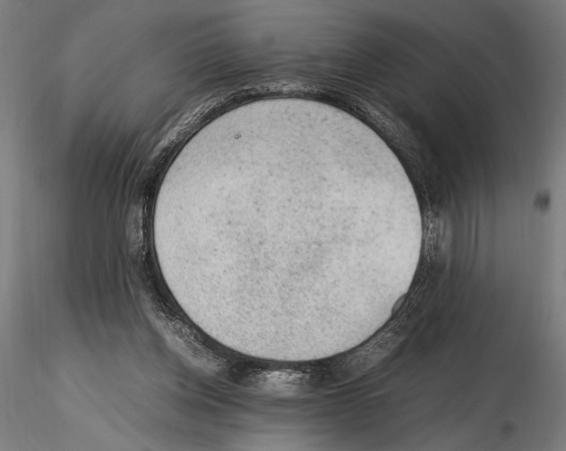 X0000115600158200912081121