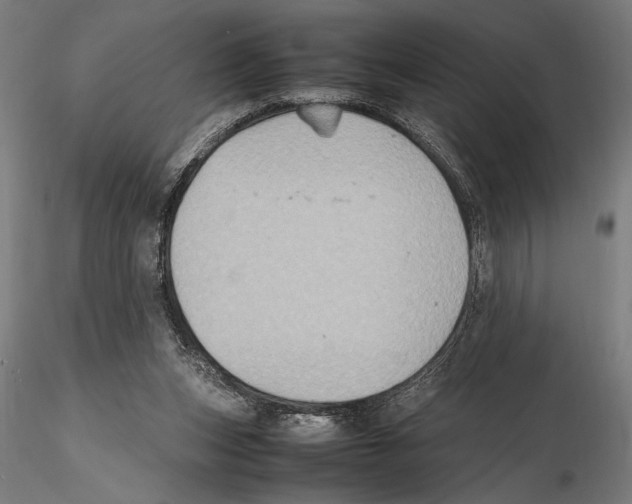 X0000115600159200912081121