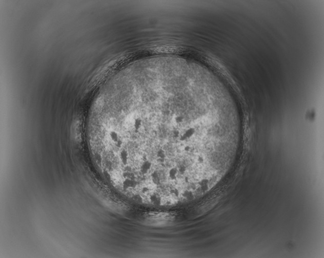 X0000115600161200912081122