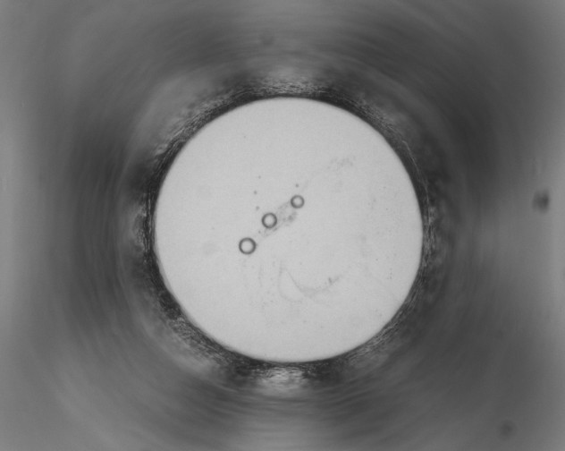 X0000115600162200912081122