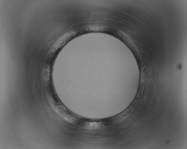 X0000115600163200912081122