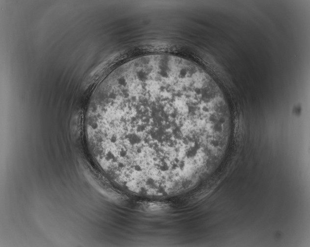 X0000115600165200912081122