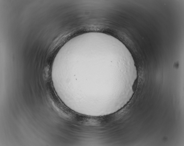 X0000115600166200912081122