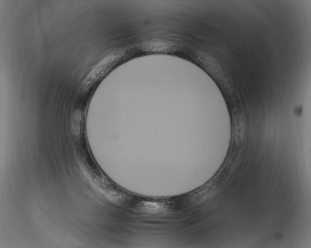 X0000115600167200912081122