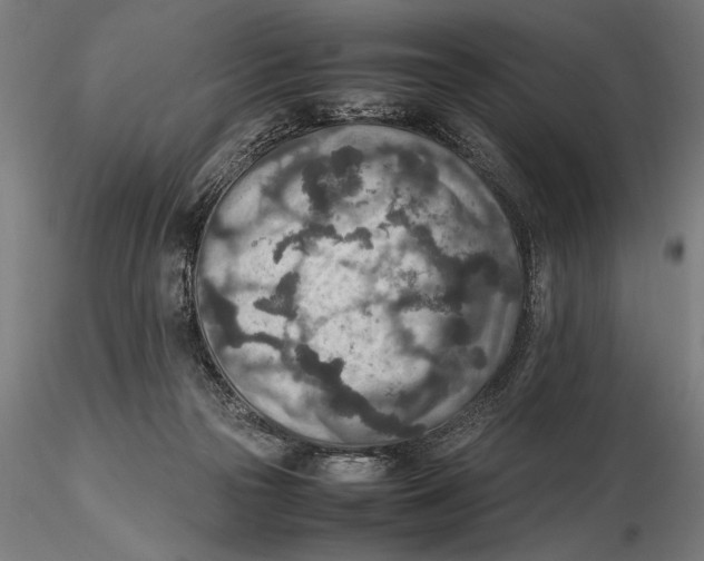 X0000115600169200912081122