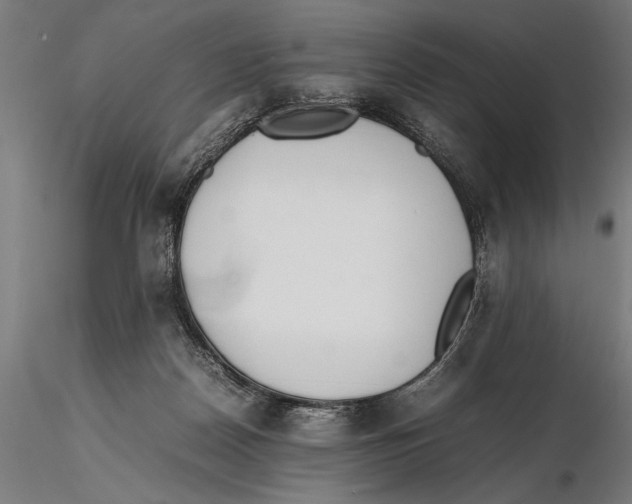 X0000115600170200912081122